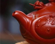 《魚(yú)化龍?zhí)捉M》