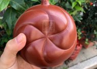 《魚化龍套組》