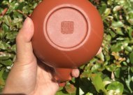 樹(shù)樁葡萄壺；朱泥380CC