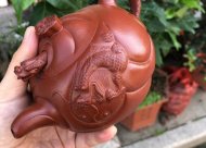 《魚化龍套組》