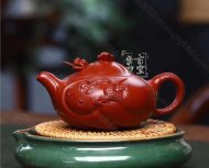 《魚(yú)化龍?zhí)捉M》