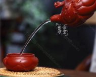 《魚(yú)化龍?zhí)捉M》