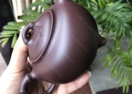 竹韻飄香；紫泥350CC